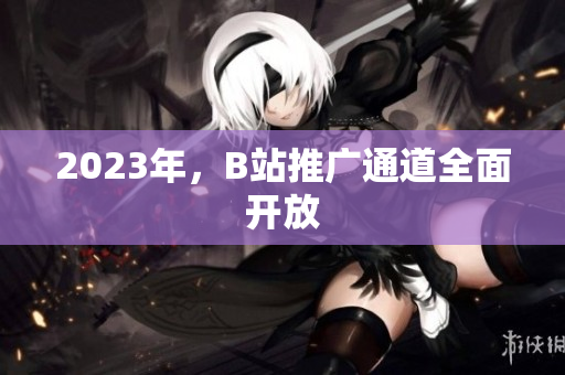 2023年，B站推广通道全面开放