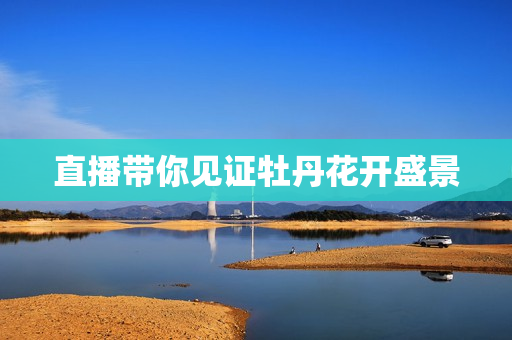 直播带你见证牡丹花开盛景