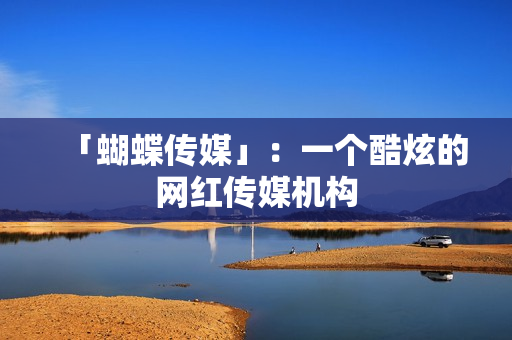 「蝴蝶传媒」：一个酷炫的网红传媒机构