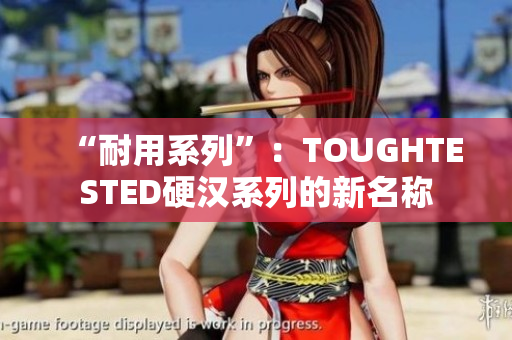 “耐用系列”：TOUGHTESTED硬汉系列的新名称