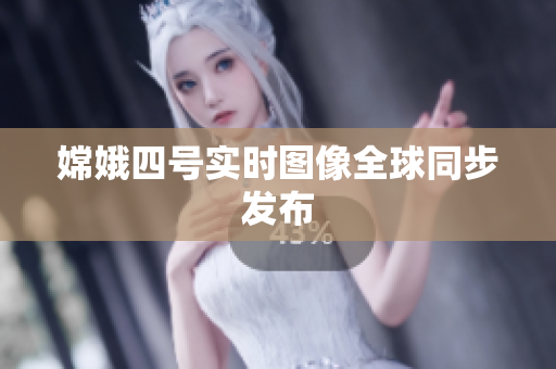 嫦娥四号实时图像全球同步发布