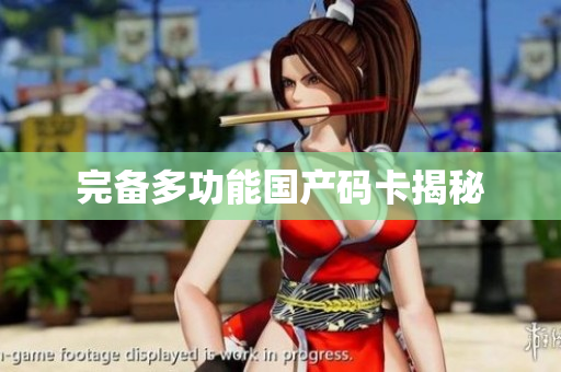 完备多功能国产码卡揭秘