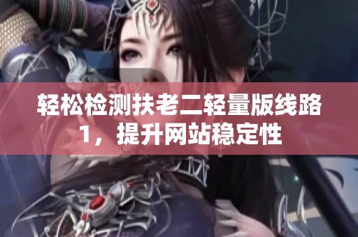 轻松检测扶老二轻量版线路1，提升网站稳定性