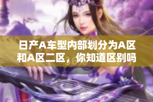 日产A车型内部划分为A区和A区二区，你知道区别吗？