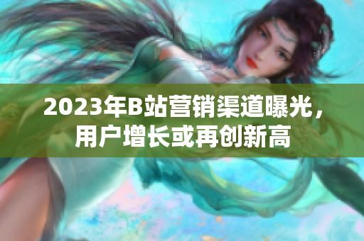 2023年B站营销渠道曝光，用户增长或再创新高