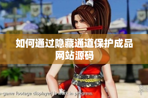 如何通过隐藏通道保护成品网站源码