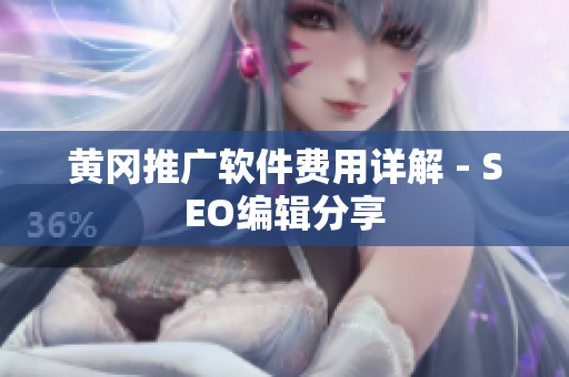黄冈推广软件费用详解 - SEO编辑分享