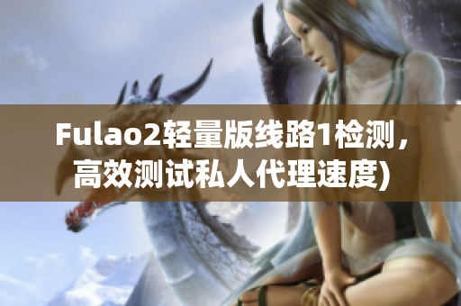 Fulao2轻量版线路1检测，高效测试私人代理速度)