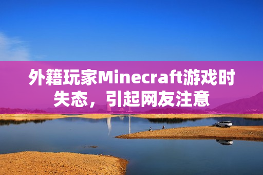 外籍玩家Minecraft游戏时失态，引起网友注意