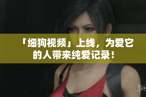 「细狗视频」上线，为爱它的人带来纯爱记录！