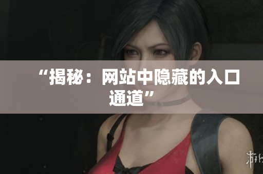 “揭秘：网站中隐藏的入口通道”