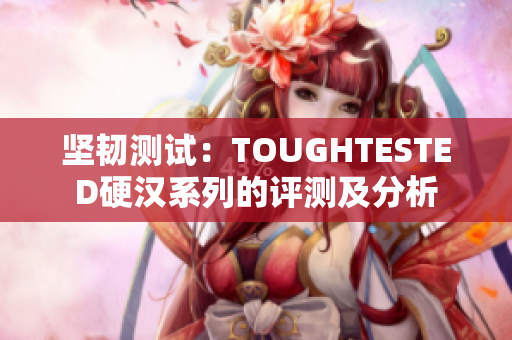 坚韧测试：TOUGHTESTED硬汉系列的评测及分析