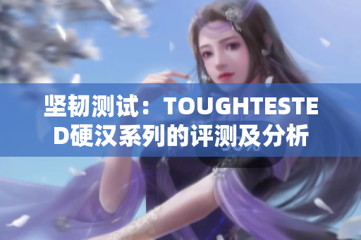 坚韧测试：TOUGHTESTED硬汉系列的评测及分析