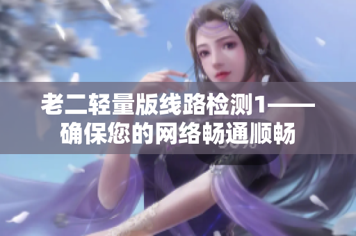 老二轻量版线路检测1——确保您的网络畅通顺畅