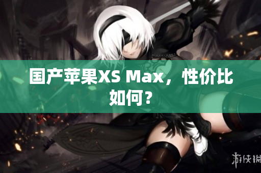 国产苹果XS Max，性价比如何？