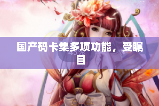 国产码卡集多项功能，受瞩目