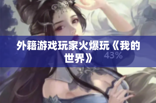 外籍游戏玩家火爆玩《我的世界》