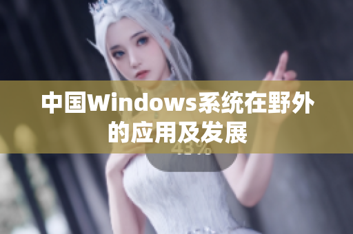 中国Windows系统在野外的应用及发展