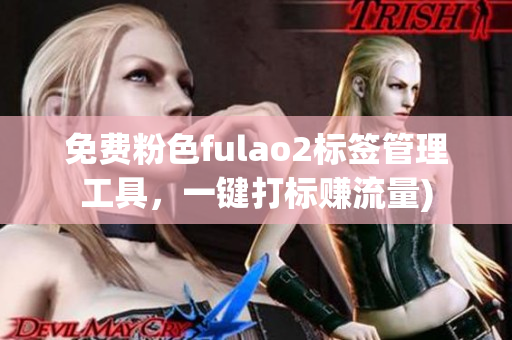 免费粉色fulao2标签管理工具，一键打标赚流量)