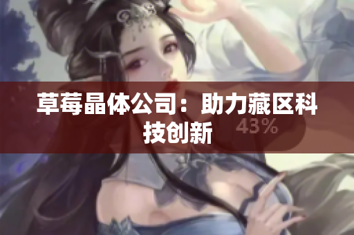 草莓晶体公司：助力藏区科技创新