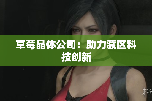 草莓晶体公司：助力藏区科技创新