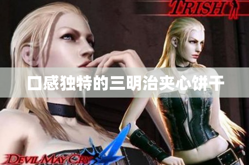 口感独特的三明治夹心饼干