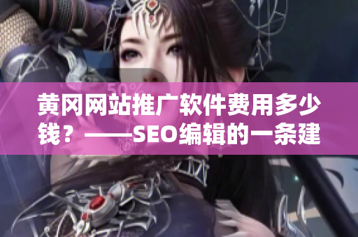 黄冈网站推广软件费用多少钱？——SEO编辑的一条建议