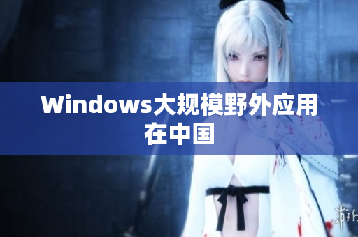 Windows大规模野外应用在中国