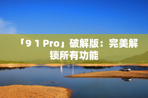 「9 1 Pro」破解版：完美解锁所有功能