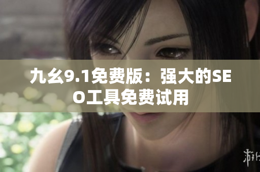 九幺9.1免费版：强大的SEO工具免费试用