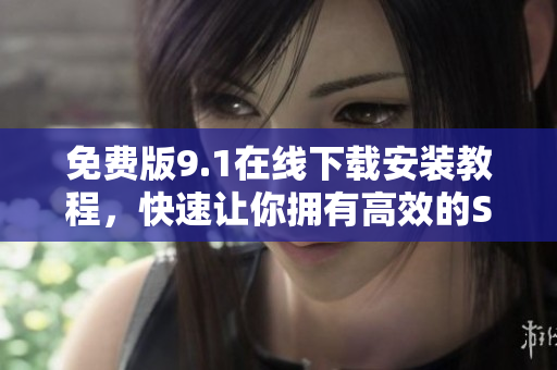 免费版9.1在线下载安装教程，快速让你拥有高效的SEO工具！