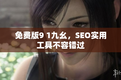 免费版9 1九幺，SEO实用工具不容错过