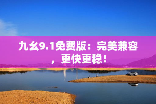 九幺9.1免费版：完美兼容，更快更稳！