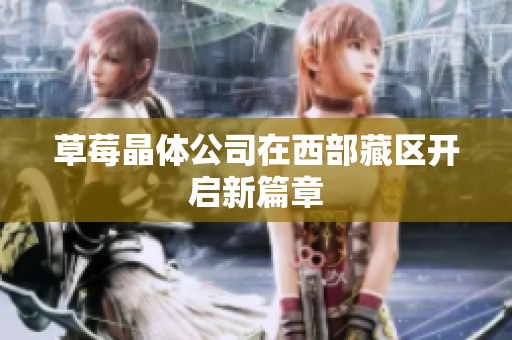 草莓晶体公司在西部藏区开启新篇章