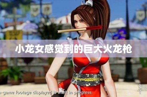 小龙女感觉到的巨大火龙枪