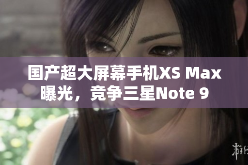 国产超大屏幕手机XS Max曝光，竞争三星Note 9