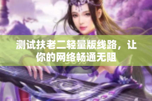 测试扶老二轻量版线路，让你的网络畅通无阻