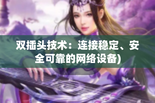 双插头技术：连接稳定、安全可靠的网络设备)