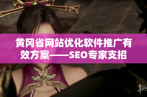 黄冈省网站优化软件推广有效方案——SEO专家支招