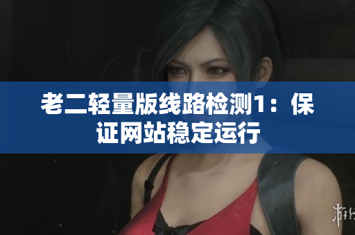 老二轻量版线路检测1：保证网站稳定运行