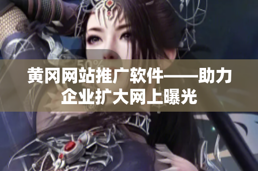 黄冈网站推广软件——助力企业扩大网上曝光