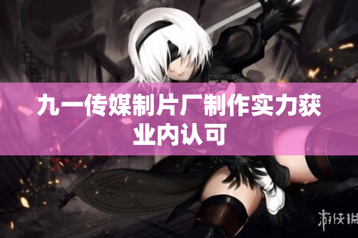 九一传媒制片厂制作实力获业内认可