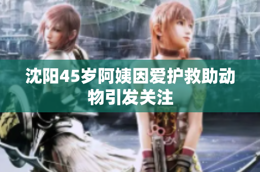 沈阳45岁阿姨因爱护救助动物引发关注