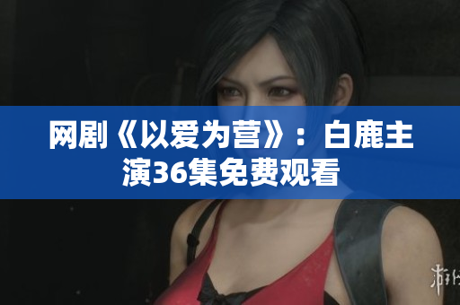 网剧《以爱为营》：白鹿主演36集免费观看