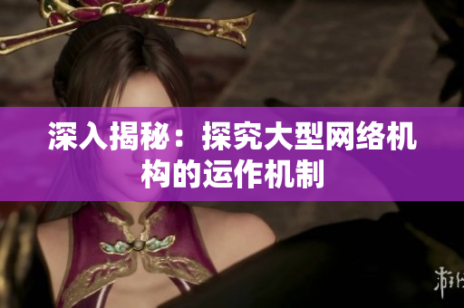深入揭秘：探究大型网络机构的运作机制