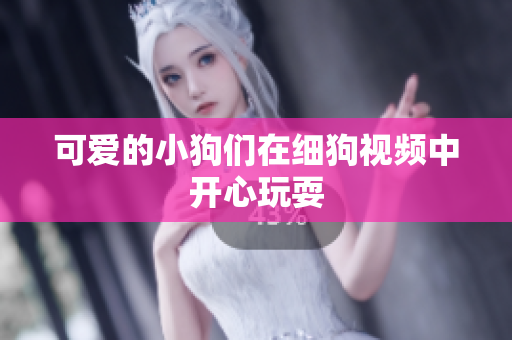可爱的小狗们在细狗视频中开心玩耍