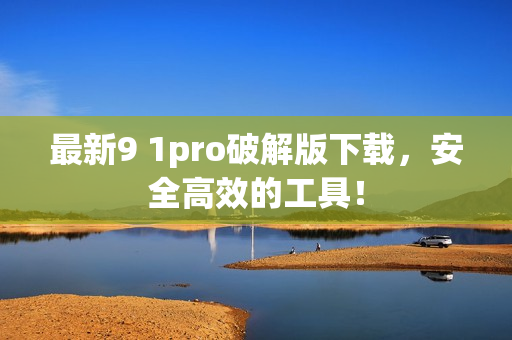 最新9 1pro破解版下载，安全高效的工具！
