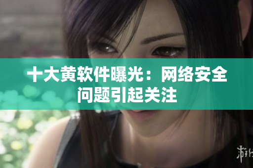十大黄软件曝光：网络安全问题引起关注