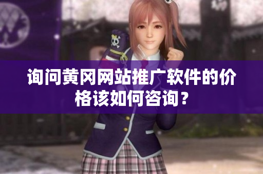 询问黄冈网站推广软件的价格该如何咨询？