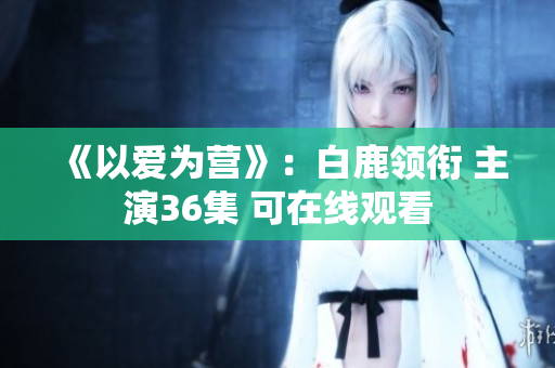 《以爱为营》：白鹿领衔 主演36集 可在线观看